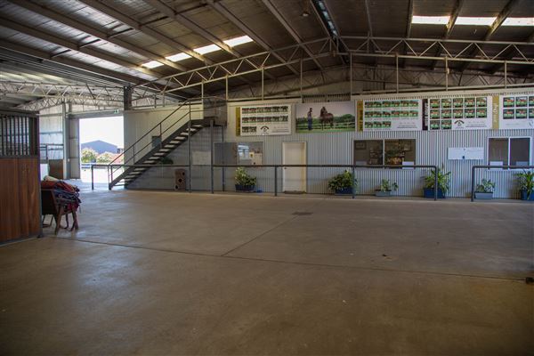 Gold Front Breeding & Racing (11/03/2026 - Credits: Louise Brady)