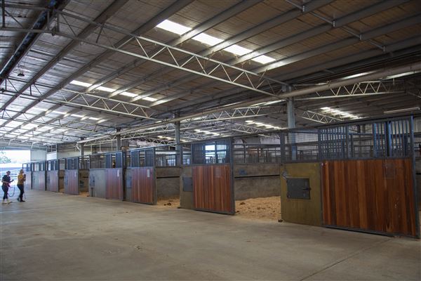 Gold Front Breeding & Racing (11/03/2026 - Credits: Louise Brady)