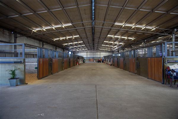 Gold Front Breeding & Racing (11/03/2026 - Credits: Louise Brady)
