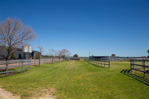 Gold Front Breeding & Racing (11/03/2026 - Credits: Louise Brady)