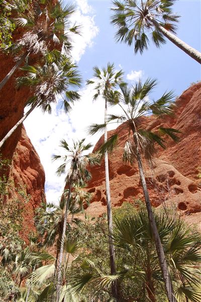 Bungle Bungles Range - Purnululu National Park (17/07/2026)