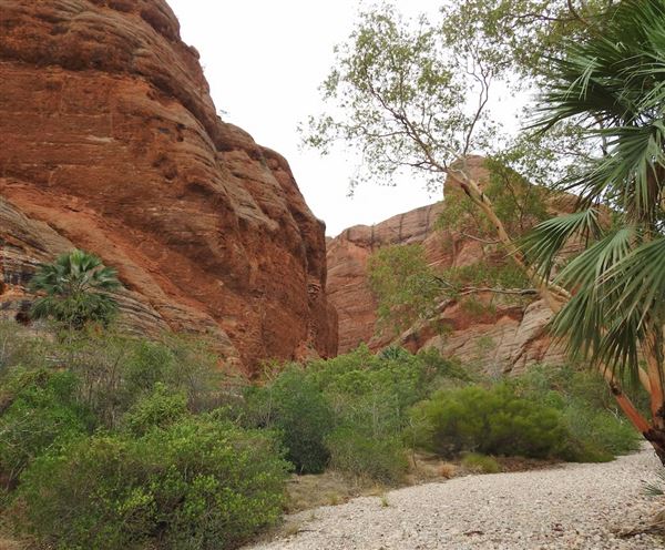 Bungle Bungles Range - Purnululu National Park (17/07/2026 - Credits: DBCA)