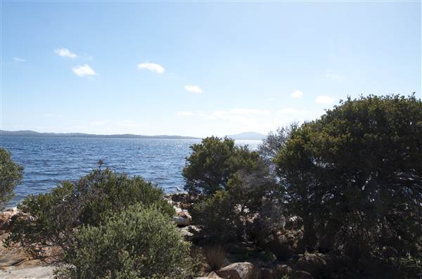 Wilson Inlet (inc.Boat Landing), Denmark (12/03/2015)