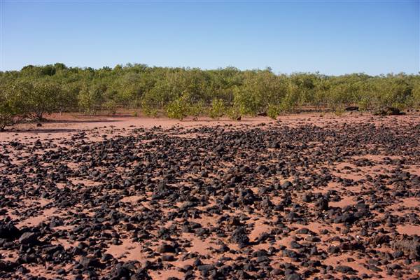 Broome - Catalina Boat Ramp (19/03/2015)
