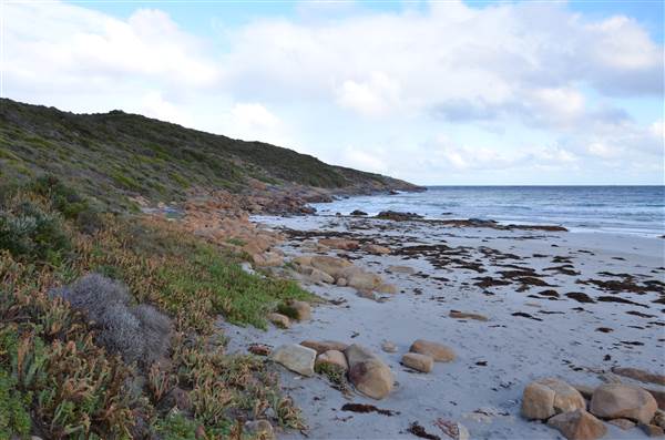 Foul Bay (20/03/2015)
