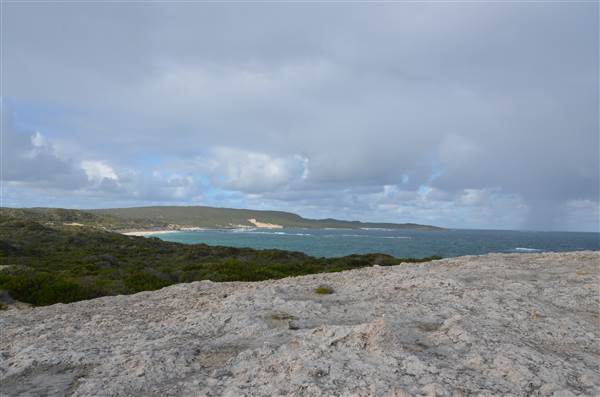 Hamelin Bay (23/03/2015)