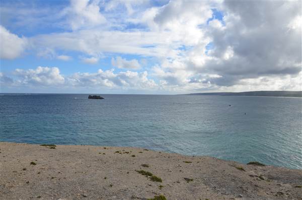 Hamelin Bay (23/03/2015)