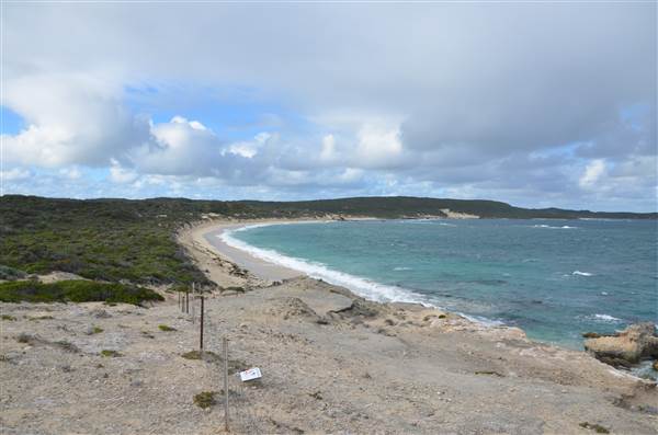 Hamelin Bay (23/03/2015)