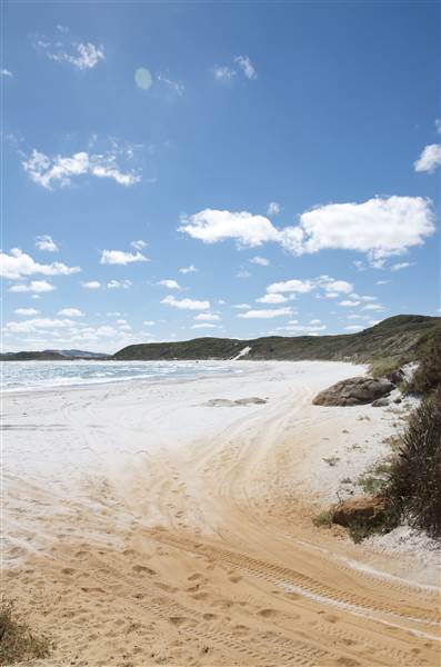 Shelter Island and beach, Albany (24/03/2015)