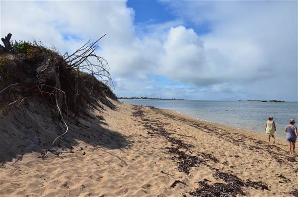 Cape Peron - Rockingham - from land (24/03/2015)