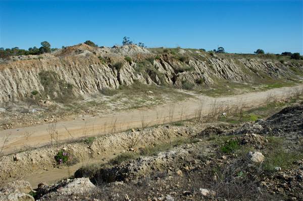 Road Stone Quarry (24/03/2015)