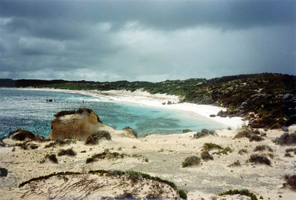 Rottnest Island (24/03/2015)