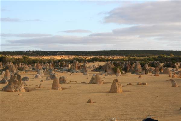 Pinnacles - Nambung National Park (25/03/2015)