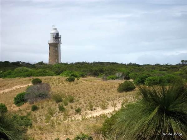 Woodman Light (25/03/2015)