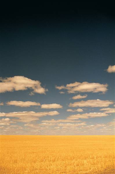 Wheatbelt Region (4/11/2015 - Credits: Tourism of WA)