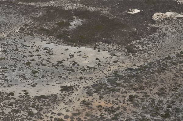 Abrolhos Islands - West Wallabi Island (15/12/2015 - Credits: Chris Veerhuis)