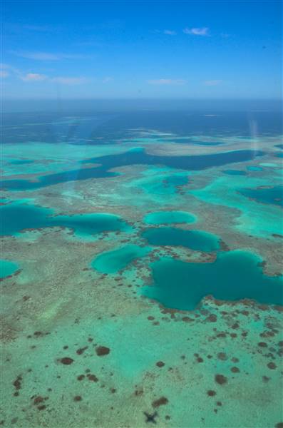 Abrolhos Islands - Pelsaert Island (15/12/2015)