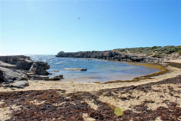 Cape Peron - Rockingham - from land (21/12/2015 - Credits: Chris Veerhuis)