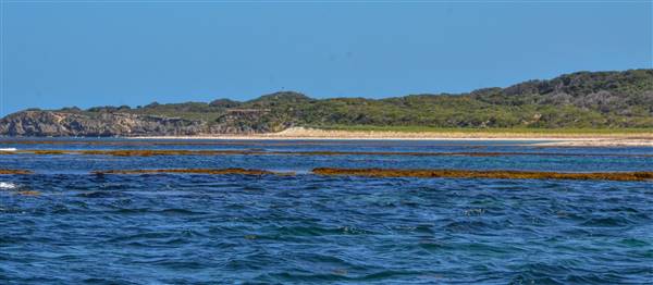 Garden Island - Ewing Bay (22/12/2015 - Credits: Chris Veerhuis)