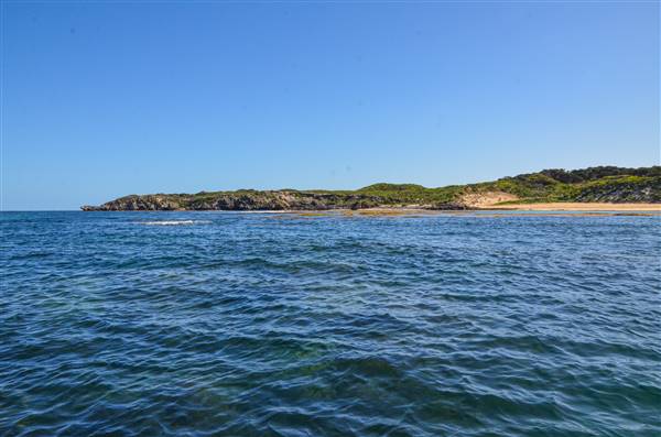 Garden Island - Collins Point - from water (22/12/2015 - Credits: Chris Veerhuis)
