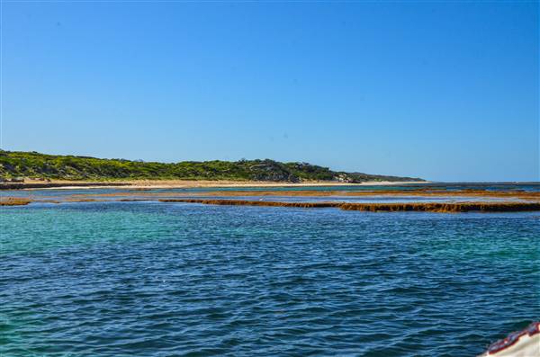 Garden Island - Point Atwick - North and South Bay from Water (22/12/2015 - Credits: Chris Veerhuis)