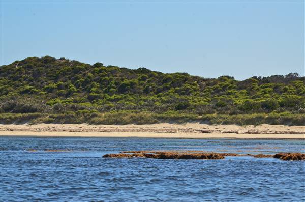 Garden Island - Calista Point - from water (22/12/2015 - Credits: Chris Veerhuis)