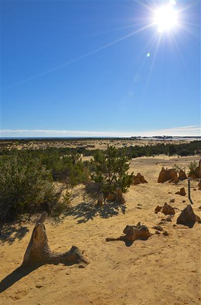 Pinnacles - Nambung National Park (27/06/2016 - Credits: Chris Veerhuis)