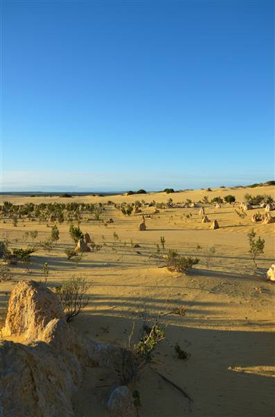 Pinnacles - Nambung National Park (27/06/2016 - Credits: Chris Veerhuis)