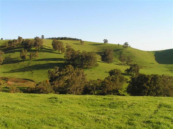 Nannup - Xmas Brook Farm (3/05/2017 - Credits: Kerrie Dunnet)