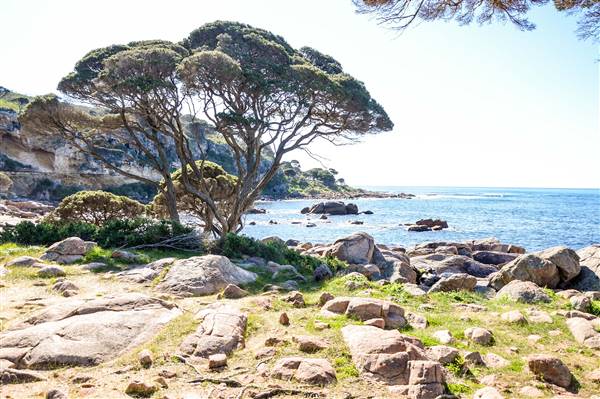 Bunker Bay (6/06/2017 - Credits: Duncan Jones)