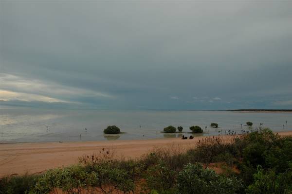 Broome - Roebuck Bay coast (18/07/2017 - Credits: Tim Burns)