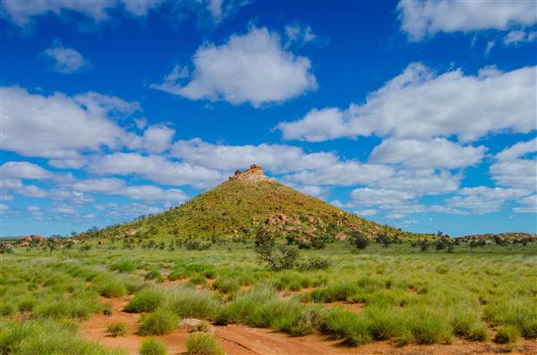 Port Hedland - Road heading north - Spinifex spring (19/07/2017 - Credits: Dan Wood)