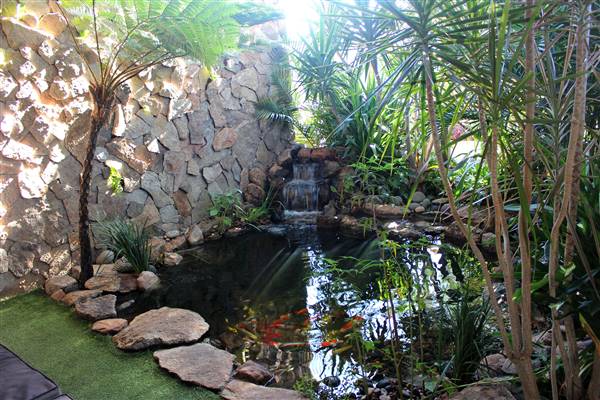Wattle Grove (25/07/2017)