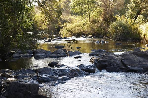 Margaret River - La Forêt Enchantée - Margaret River (23/08/2017 - Credits: (Frances Andrijich))