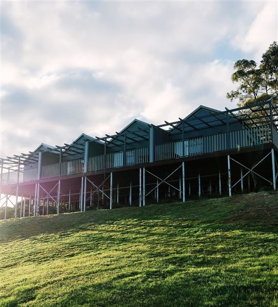 Little Hill Farm Bridgetown (10/12/2019 - Credits: Adam Roebuck)