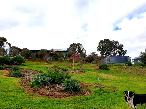 Little Hill Farm Bridgetown (10/12/2019 - Credits: Adam Roebuck)