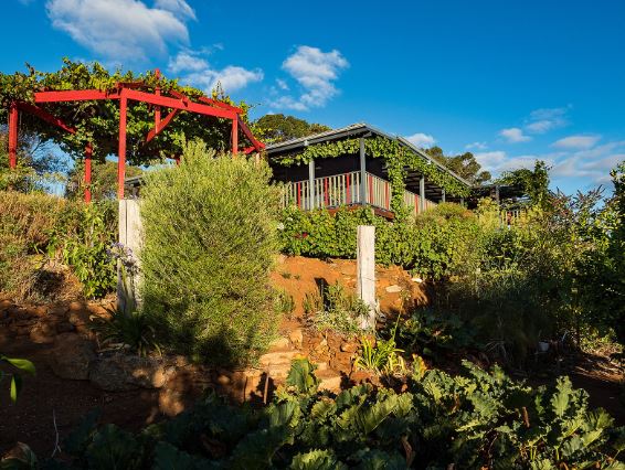 Little Hill Farm Bridgetown (28/03/2018 - Credits: Little Hill Farm Bridgetown (Pics take in March 2018 Summer))