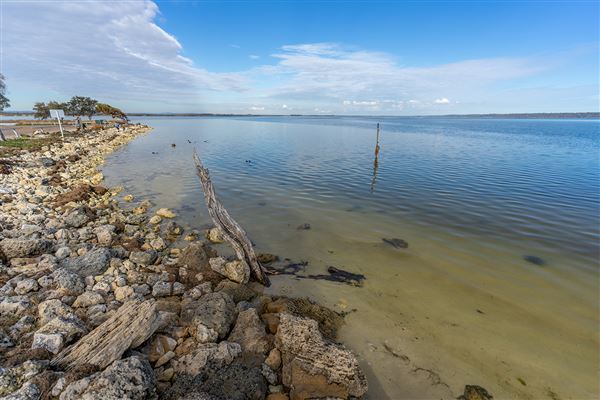 Herron Point, Birchmont - Herron Point shoreline and walking tracks (7/06/2020)