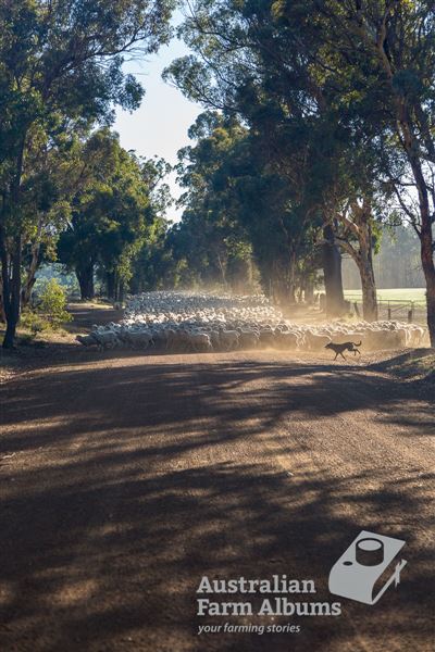 Darkan - Country Roads - Some examples of contry roads (14/07/2019 - Credits: Caroline Telfer)