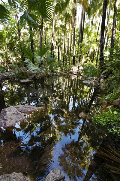 El Questro - Zebedee Springs (29/06/2017 - Credits: Tourism Western Australia)