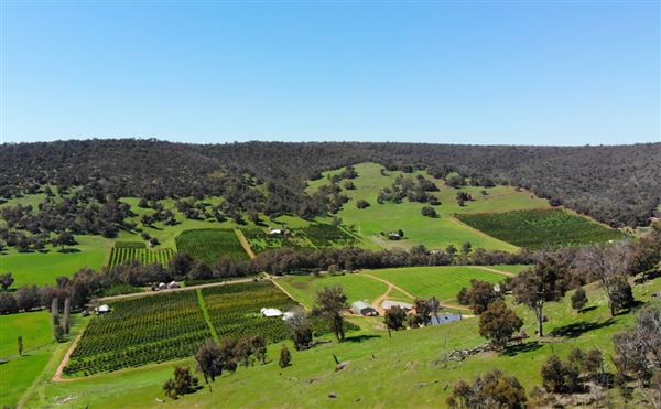 The Orchard Perth Pty Ltd (1/07/2020 - Credits: The Orchard Perth Pty Ltd)