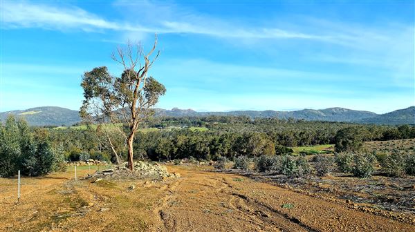 Craigendarroch, Porongurup (2/11/2021 - Credits: CMMS ELPS)