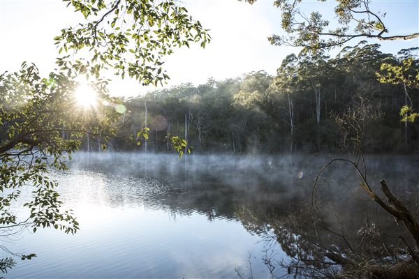 RAC Karri Valley Resort (11/10/2022 - Credits: Tourism Western Australia)