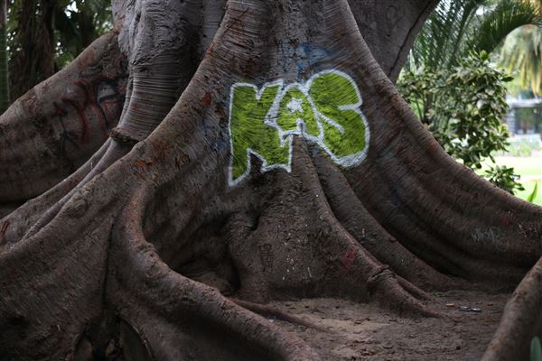 Supreme Court Gardens (18/10/2023 - Credits: Shea Walsh)