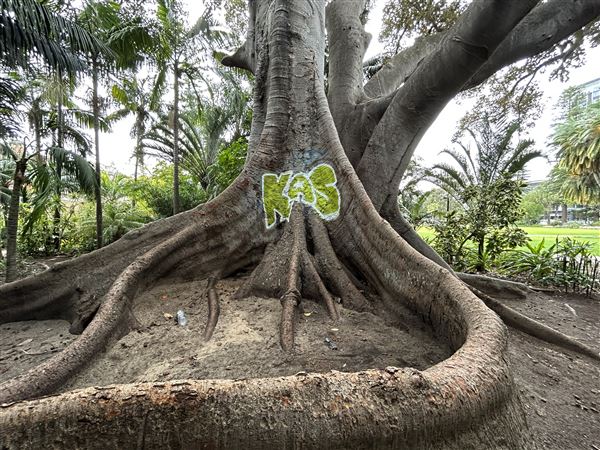 Supreme Court Gardens (18/10/2023 - Credits: Shea Walsh)