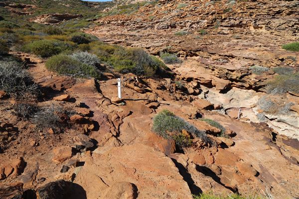 Kalbarri - Pot Alley Beach (3/06/2022)