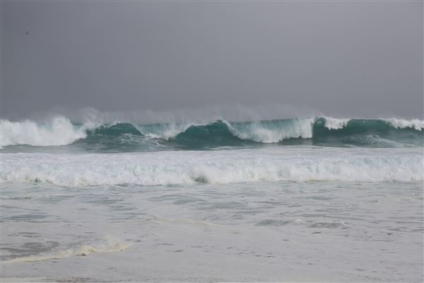 Gracetown (6/06/2023 - Credits: Aidan O'Bryan)