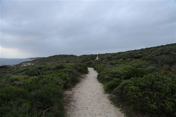 Margaret River - Prevelly (6/06/2023 - Credits: Aidan O'Bryan)