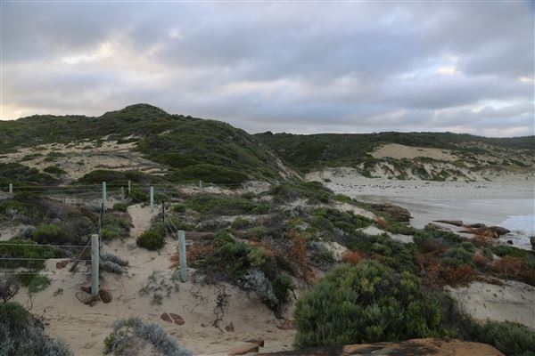 Margaret River - Redgate Beach (6/06/2023 - Credits: Aidan O'Bryan)