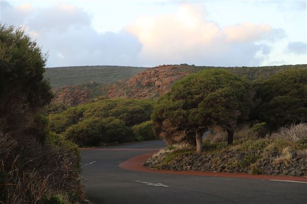 Cape Naturaliste - Sugar Loaf (6/06/2023 - Credits: Aidan O'Bryan)